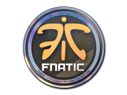 Fnatic (Holo) | Cologne 2014