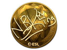 NBK- (Gold) | Katowice 2019