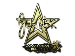 junior (Gold) | Antwerp 2022