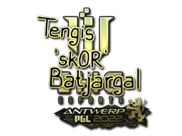sk0R (Gold) | Antwerp 2022