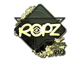 ropz (Gold) | Rio 2022