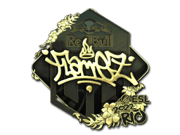 FlameZ (Gold) | Rio 2022