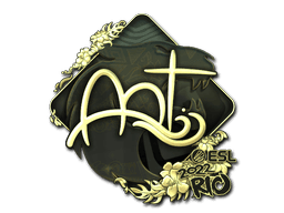 arT (Gold) | Rio 2022