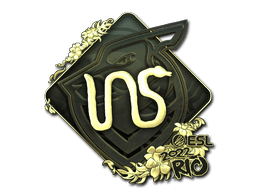 INS (Gold) | Rio 2022