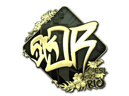 sk0R (Gold) | Rio 2022