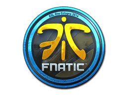 Fnatic (Foil) | Cologne 2014