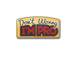 Don't Worry, I'm Pro