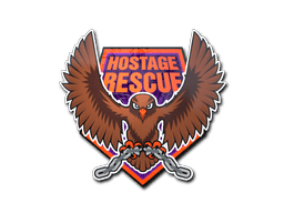 Hostage Rescue