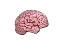 CS On The Mind