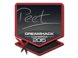peet | Cluj-Napoca 2015