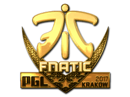Fnatic (Gold) | Krakow 2017