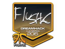 flusha | Cluj-Napoca 2015