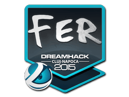 fer | Cluj-Napoca 2015