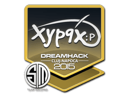 Xyp9x | Cluj-Napoca 2015