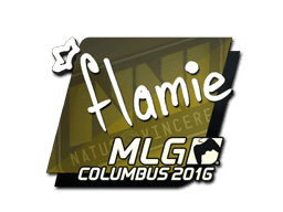 flamie | MLG Columbus 2016