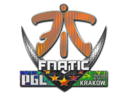 Fnatic (Holo) | Krakow 2017