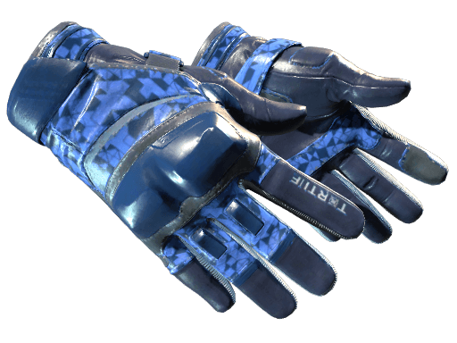 ★ Moto Gloves | Polygon