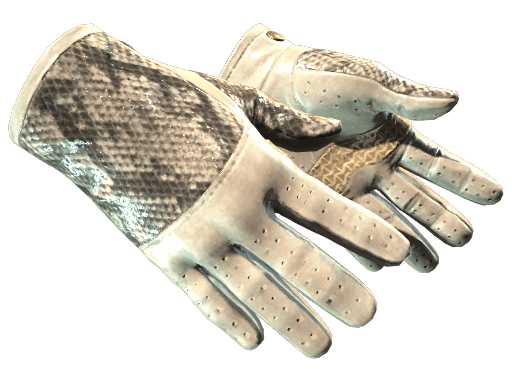 ★ Driver Gloves | King Snake