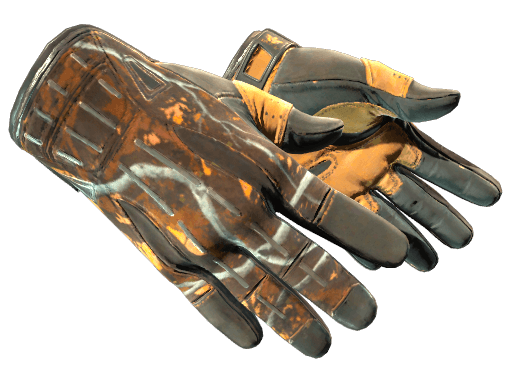 ★ Sport Gloves | Big Game