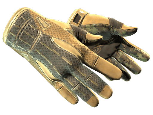 ★ Sport Gloves | Arid
