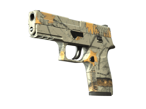 P250 | Modern Hunter