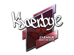 Kjaerbye (Foil) | Boston 2018