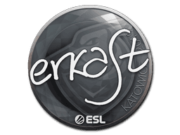 Sticker | erkaSt | Katowice 2019