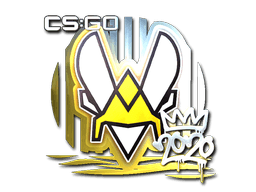 Sticker | Vitality (Foil) | 2020 RMR