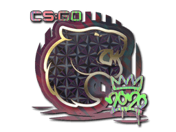 Sticker | FURIA (Holo) | 2020 RMR