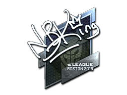 NBK- (Foil) | Boston 2018