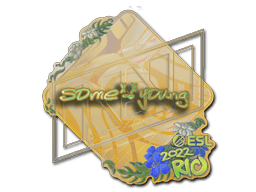 Sticker | sdy (Holo) | Rio 2022