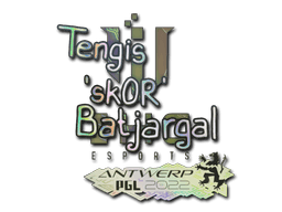 Sticker | sk0R (Holo) | Antwerp 2022