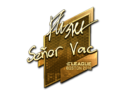 flusha (Gold) | Boston 2018