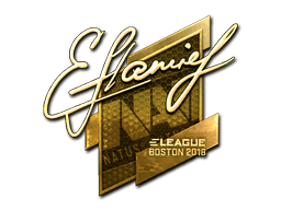 flamie (Gold) | Boston 2018