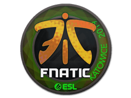 Fnatic (Holo) | Katowice 2019