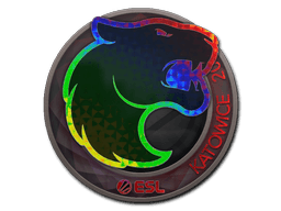FURIA (Holo) | Katowice 2019