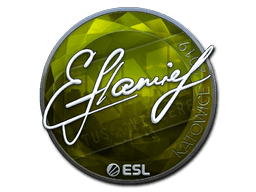 flamie (Foil) | Katowice 2019