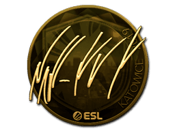 NAF (Gold) | Katowice 2019