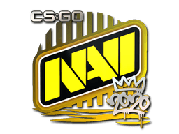 Natus Vincere | 2020 RMR