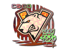 Virtus.pro (Holo) | 2020 RMR