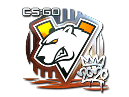 Virtus.pro (Foil) | 2020 RMR
