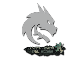 Team Spirit | Antwerp 2022