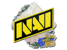 Natus Vincere | Rio 2022
