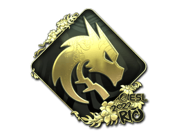Team Spirit (Gold) | Rio 2022