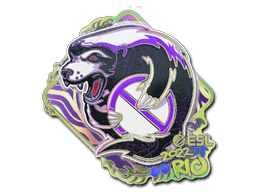 Outsiders (Holo) | Rio 2022