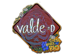 v4lde (Glitter) | Rio 2022
