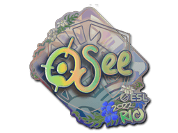 oSee (Holo) | Rio 2022