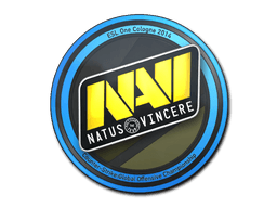 Natus Vincere | Cologne 2014