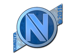 Team EnVyUs (Holo) | Katowice 2015