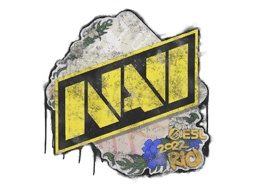 Natus Vincere | Rio 2022